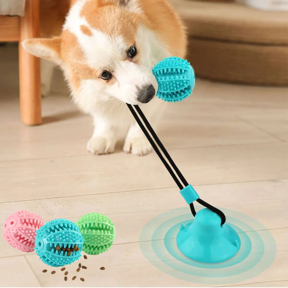 ChewGuard Interactive Dog Toy