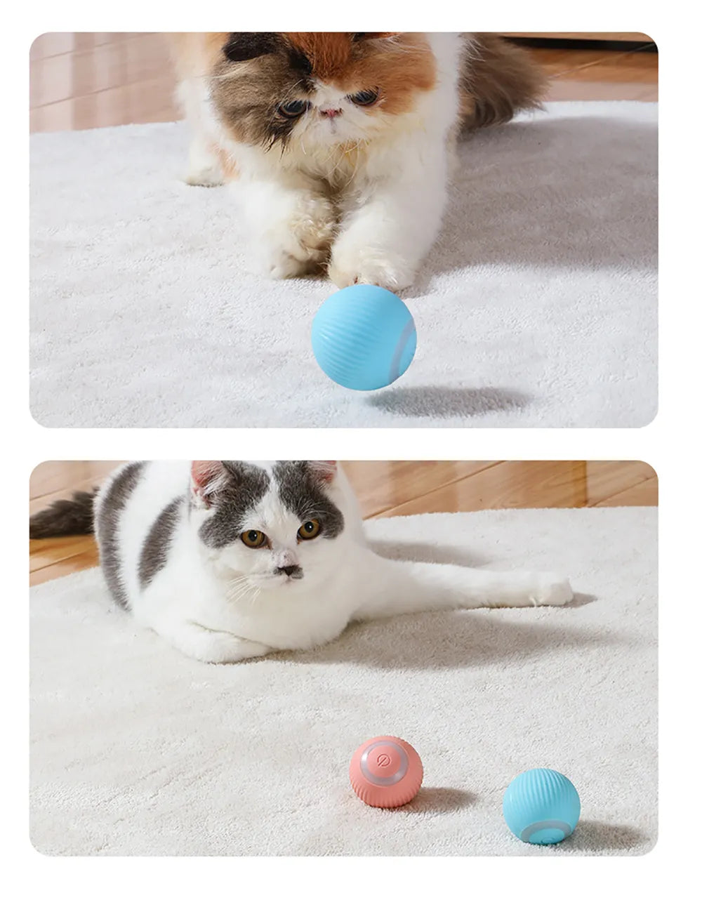 PurrPlay Interactive Smart Ball Toy